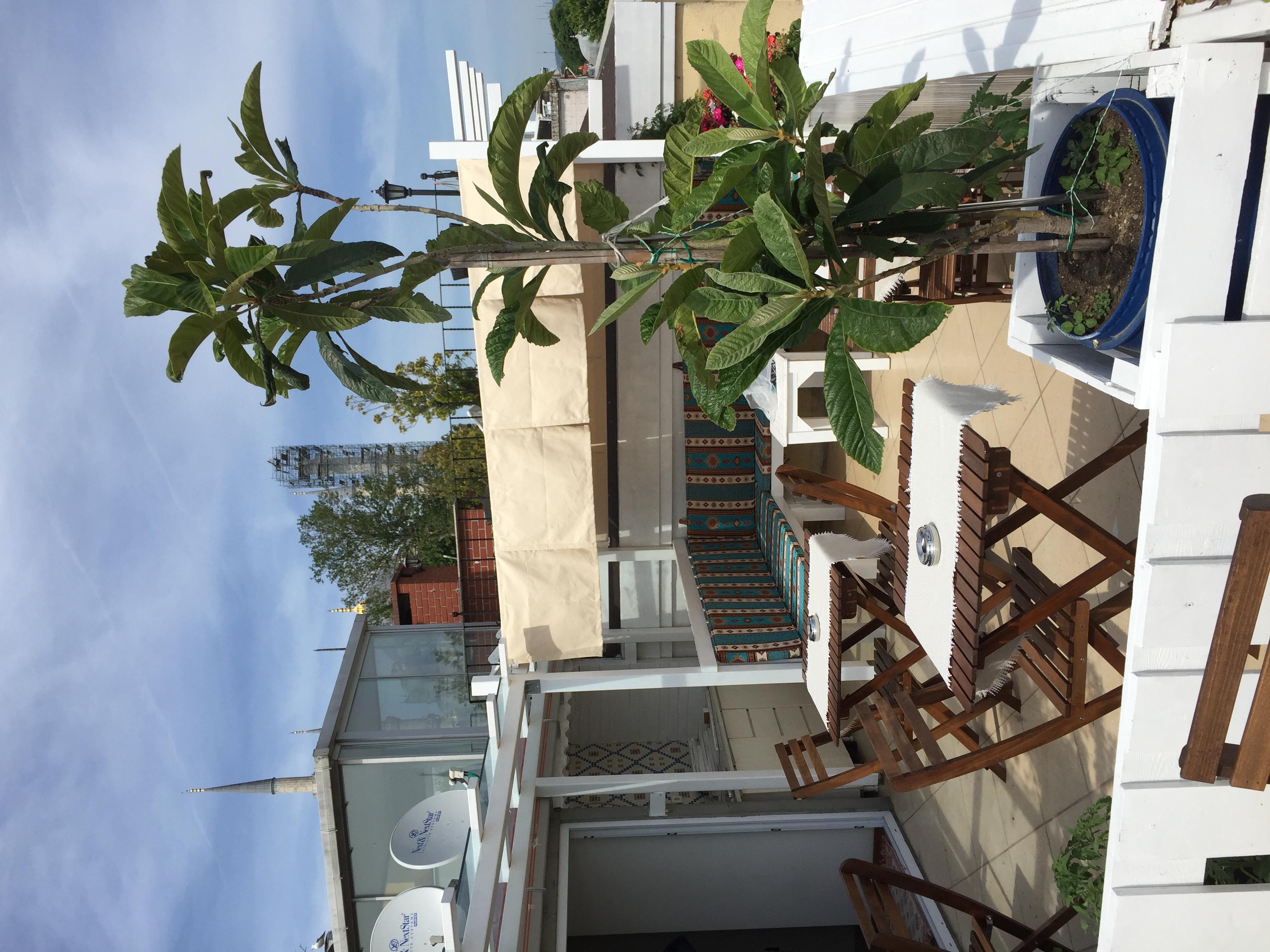 Holiday Hotel 3*